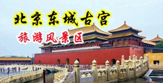 麻酥酥速插粉穴中国北京-东城古宫旅游风景区
